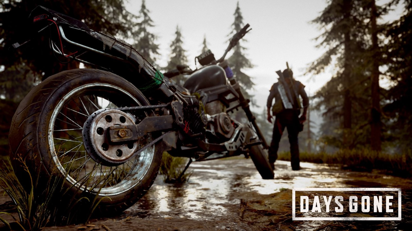 Разработчики подробно рассказали о «Days Gone» – СНЕГ.TV